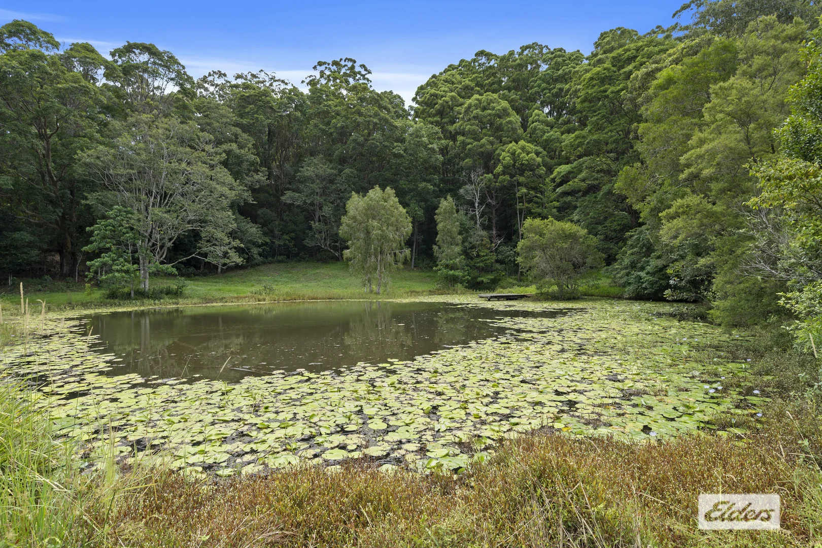 Additional image 25 of 354 Kunghur Creek Road, Kunghur Creek NSW 2484