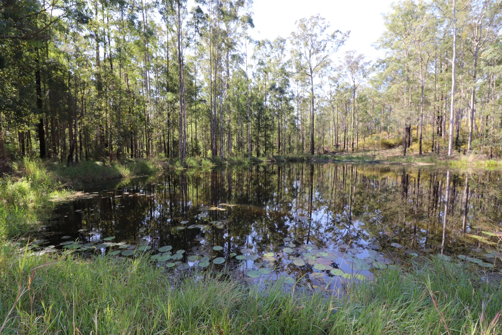 Additional image 11 of Lot 41 Collombatti Road, Collombatti NSW 2440