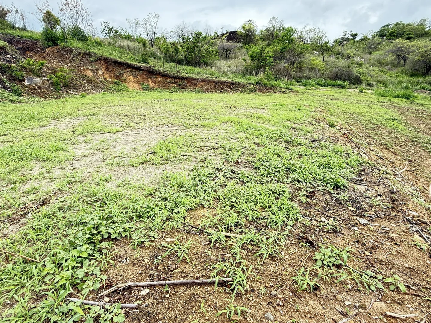 Additional image 7 of 1 Yardley Court, Bowen QLD 4805