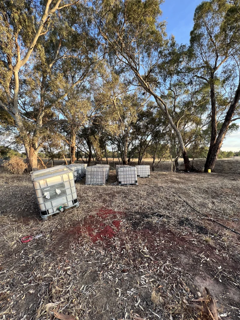 Additional image 8 of Lot CA A15/3383 Avoca-Bealiba Road, Bealiba VIC 3475