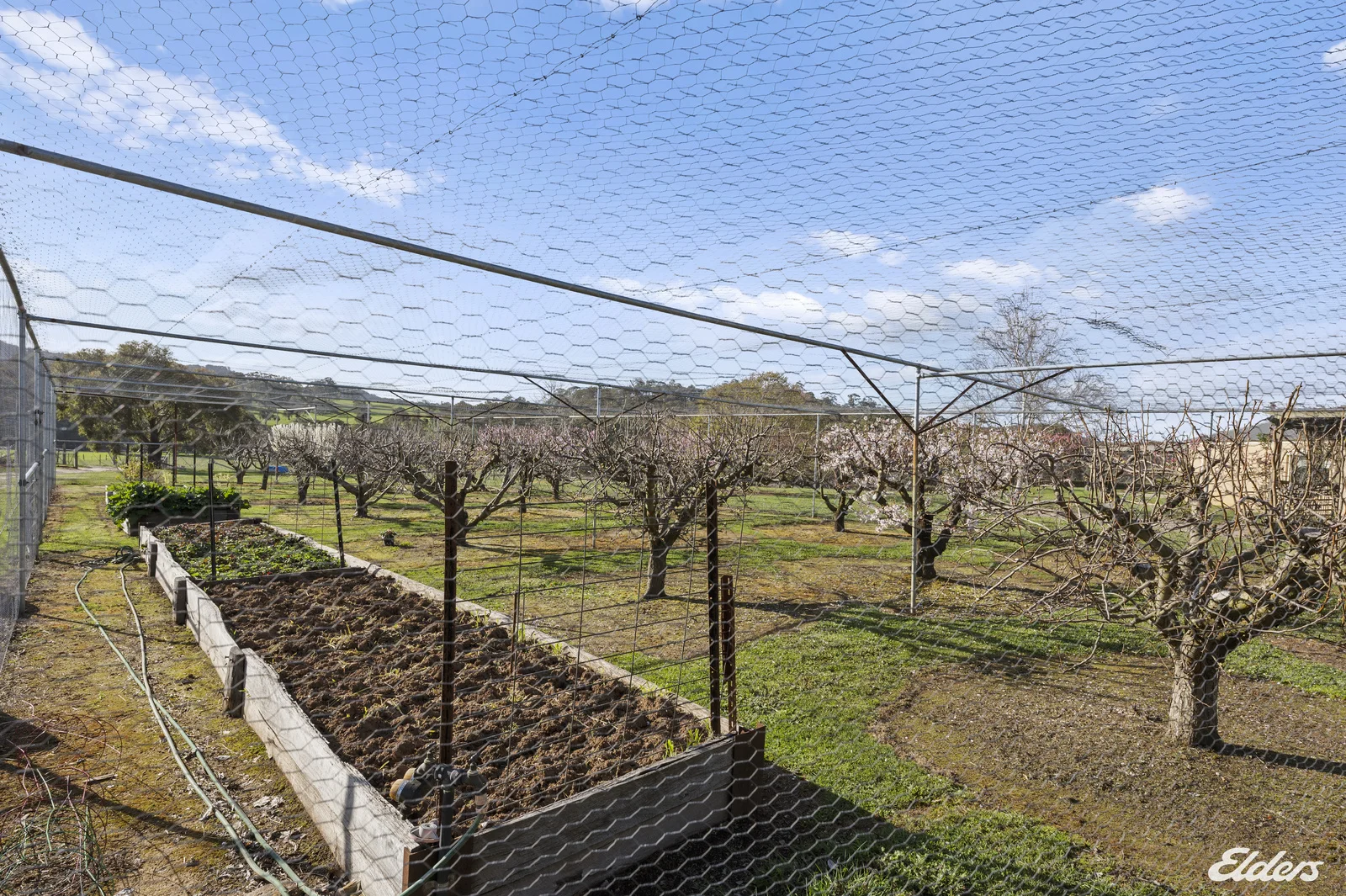 Additional image 11 of 356 Polly McQuinns Road, Strathbogie VIC 3666