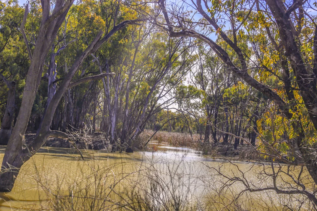 Additional image 27 of 'Wetuppa' 245 Fisher Lane, Wetuppa NSW 2734