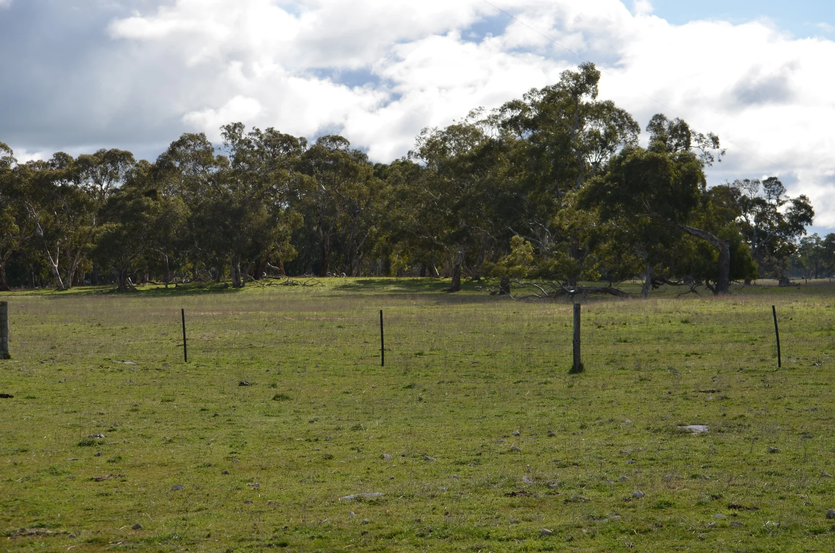 Additional image 8 of 555 Mail Bridge Road, Kingston Se SA 5275