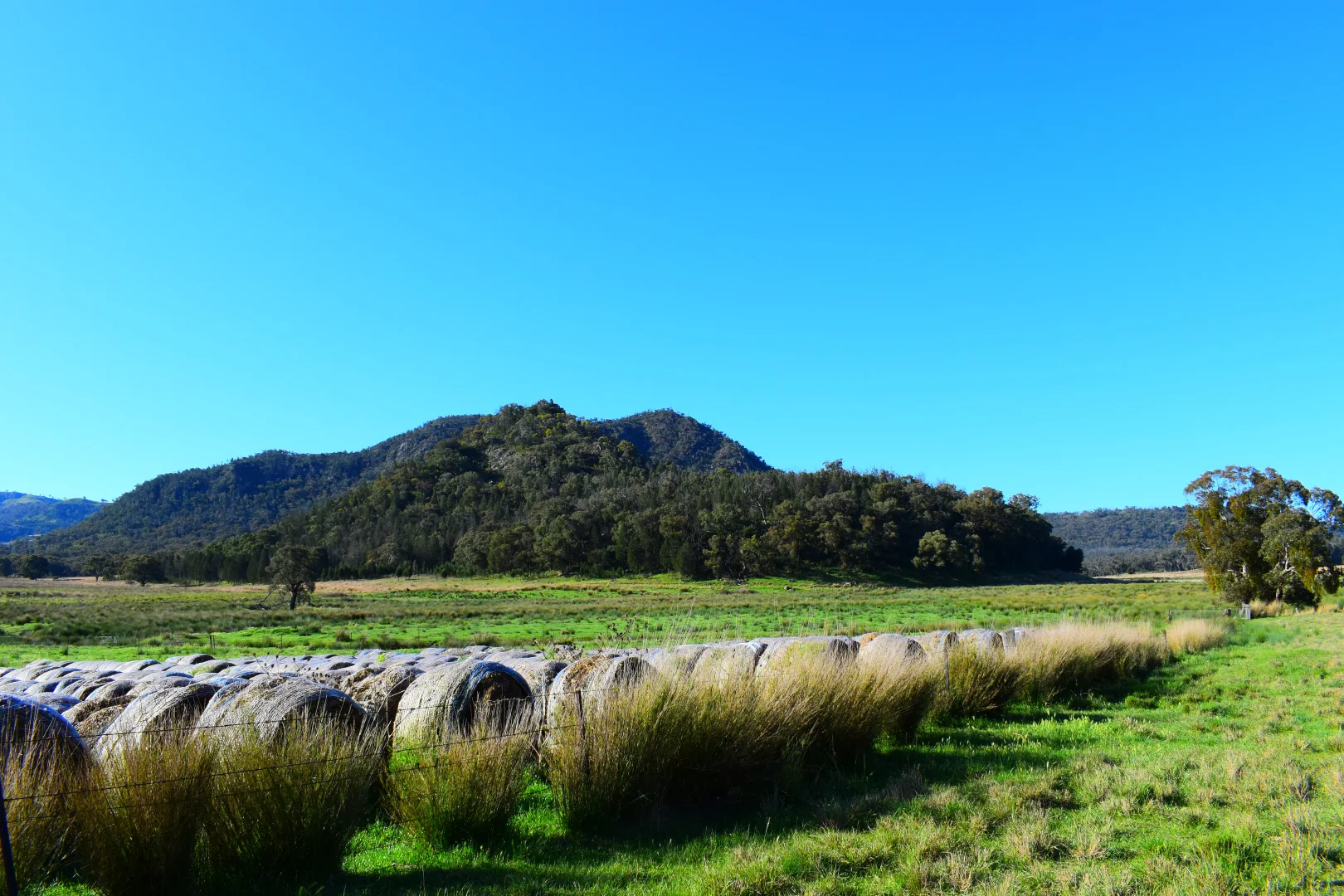 Additional image 12 of 1124 WARKTON ROAD, Coonabarabran NSW 2357