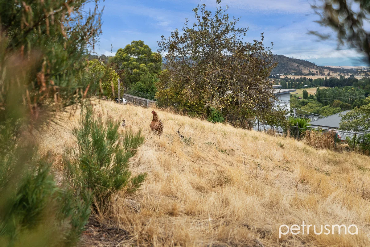Additional image 31 of 60 Sharland Avenue, New Norfolk TAS 7140