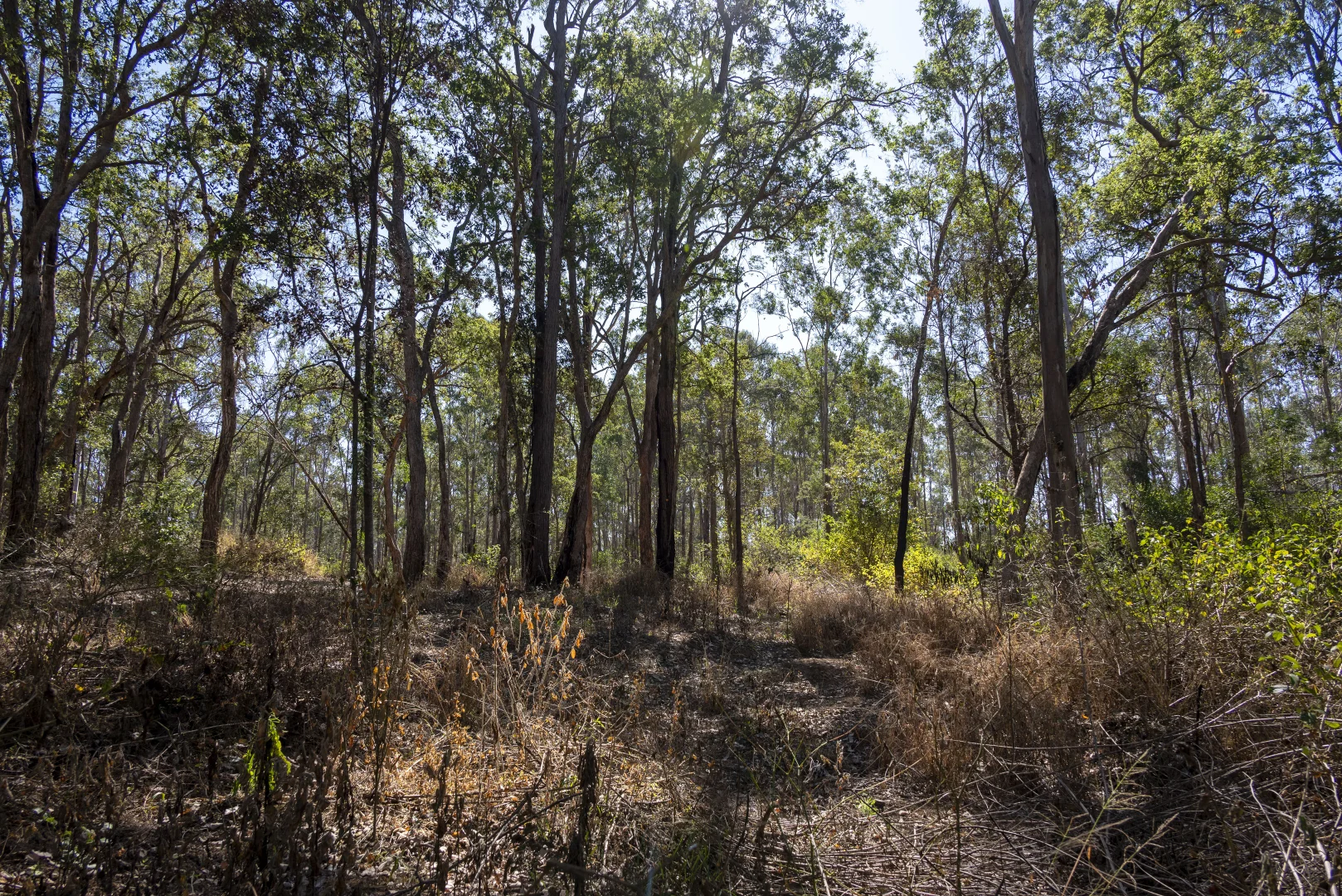 Additional image 10 of 151 Cameron Road, Taromeo QLD 4314