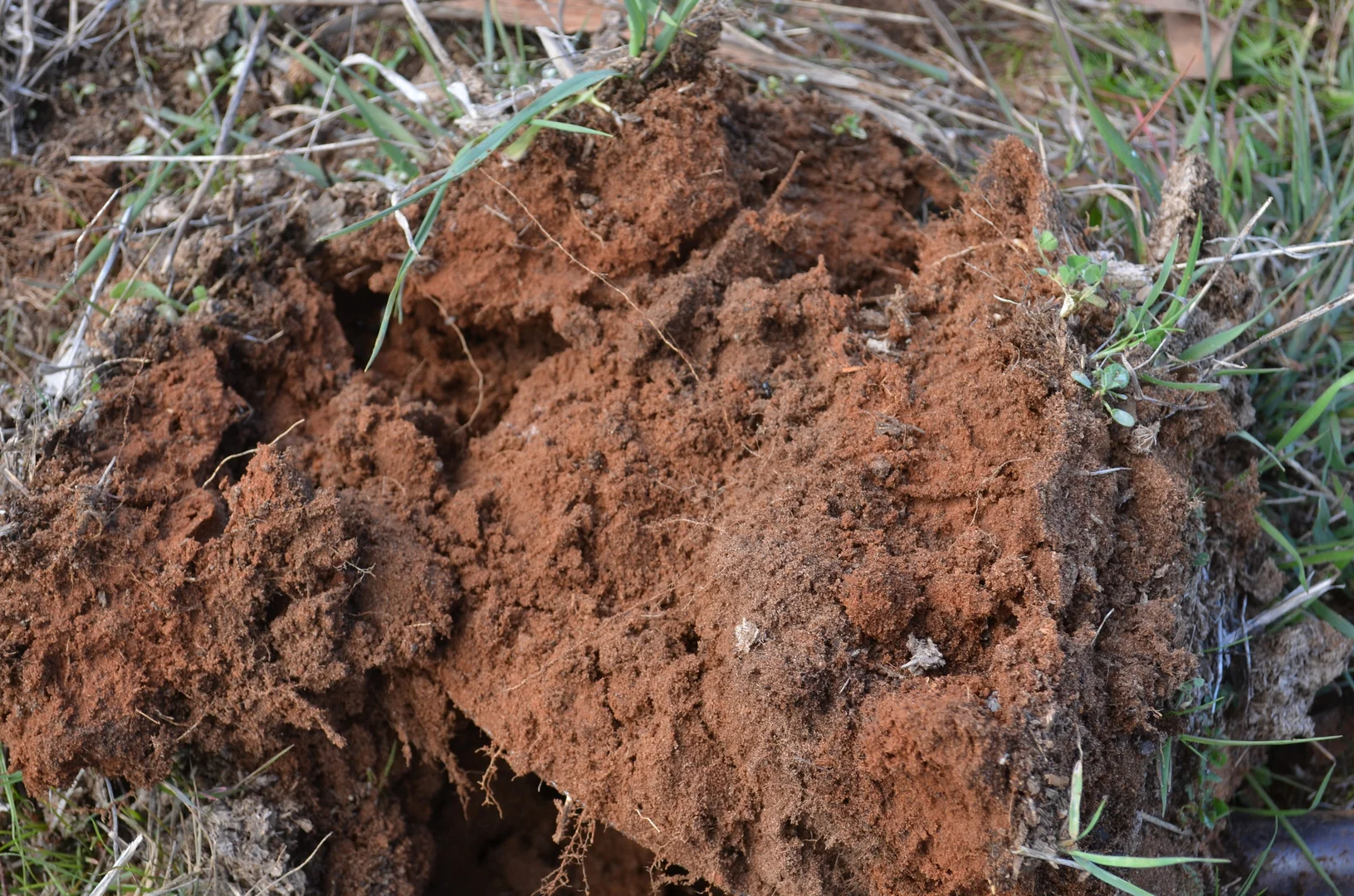 Additional image 5 of 555 Mail Bridge Road, Kingston Se SA 5275