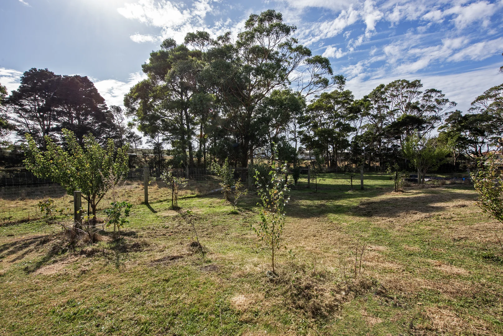 Additional image 15 of 211 Back Line Road, Forest TAS 7330