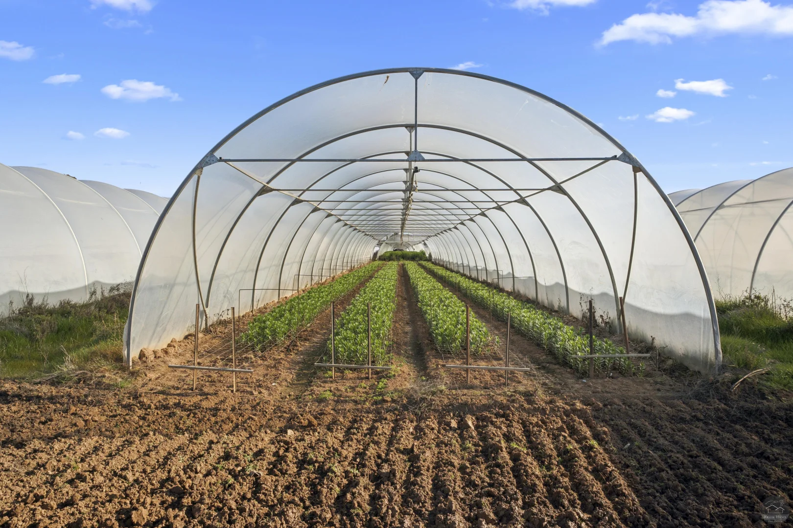 Additional image 5 of 620 River Road, Murchison North VIC 3610