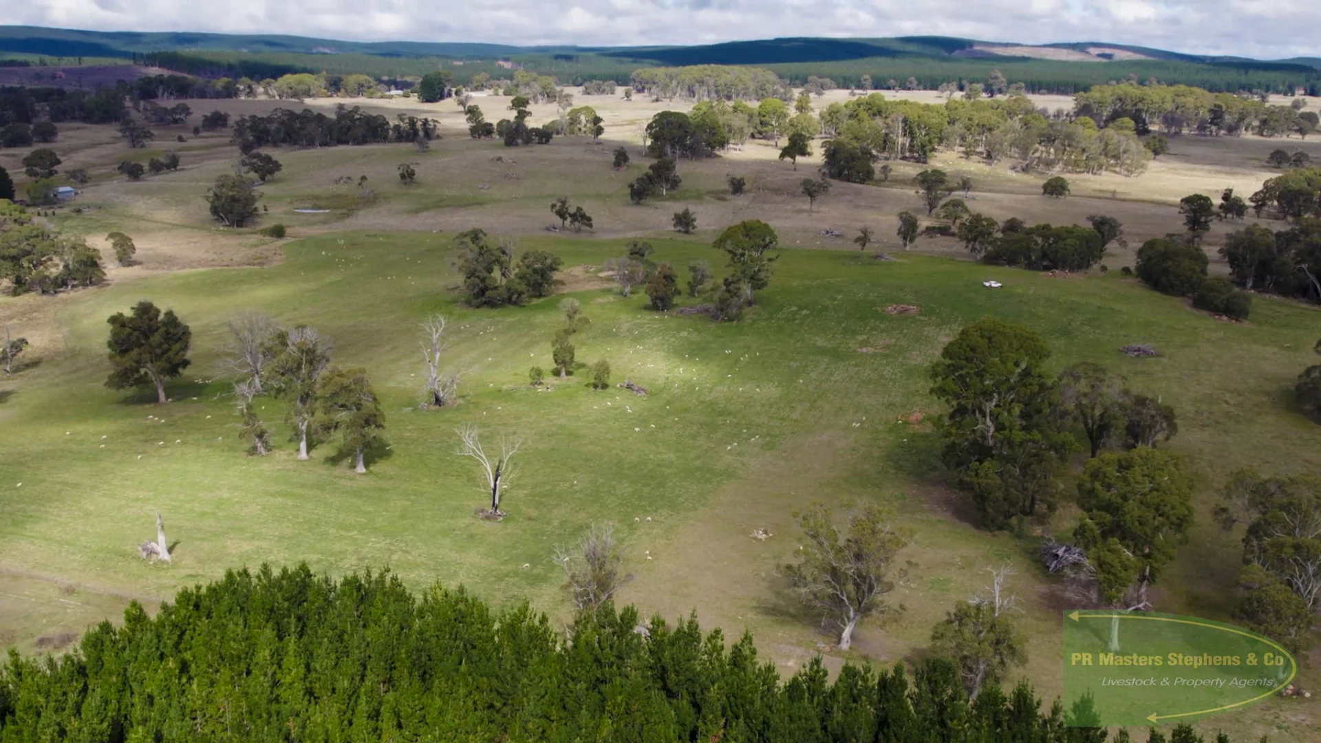 Additional image 57 of 800 Riverview Forest Road, Mozart NSW 2787