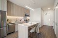 Additional image 2 of 513 S Damen Ave Unit 1-1, Chicago, IL, 60612