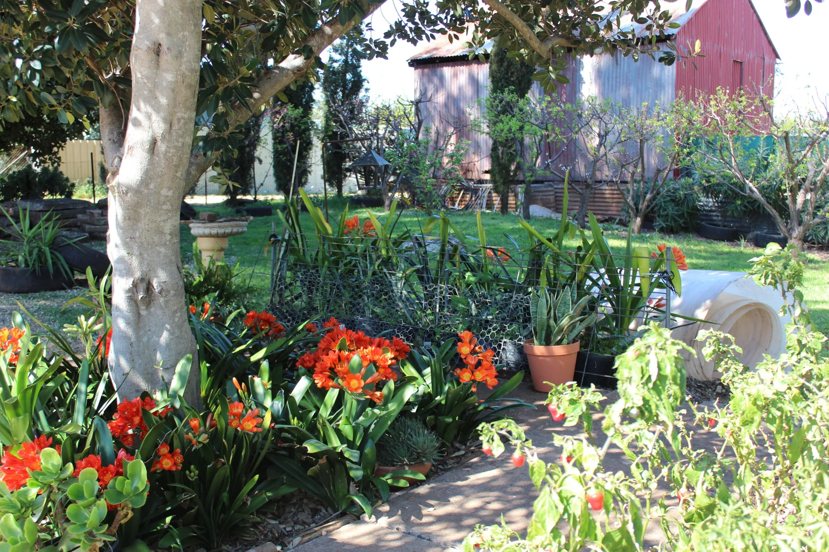 Additional image 20 of 27-29 Inverell St Delungra NSW 2403, Inverell NSW 2360