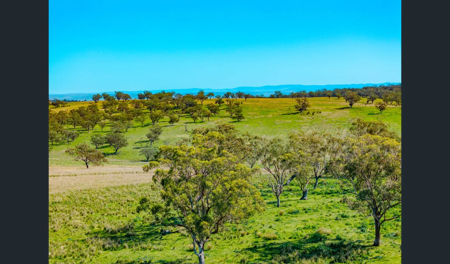 Additional image 3 of Flaggs Road, Merriwa NSW 2329