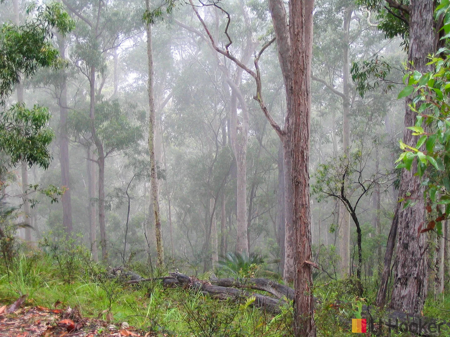 Additional image 10 of Lot 3 Pig Road, Currowan NSW 2536