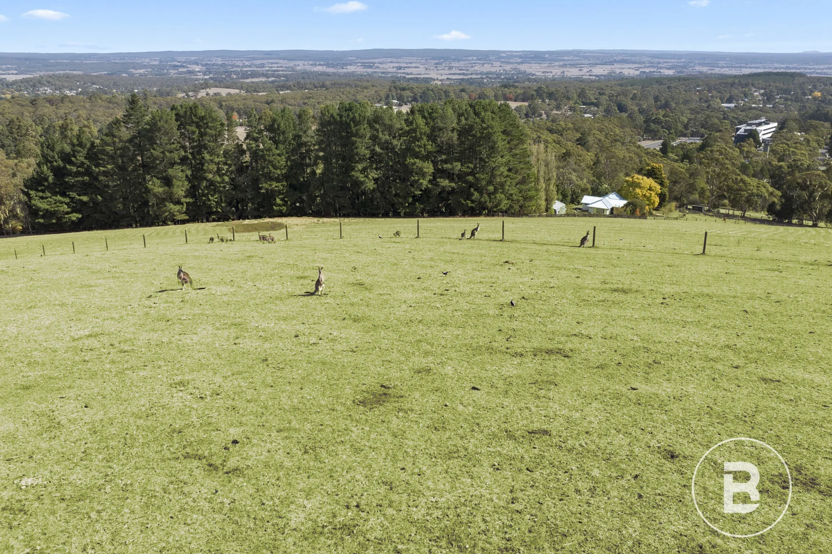 Additional image 46 of 16 Gear Avenue, Mount Helen VIC 3350