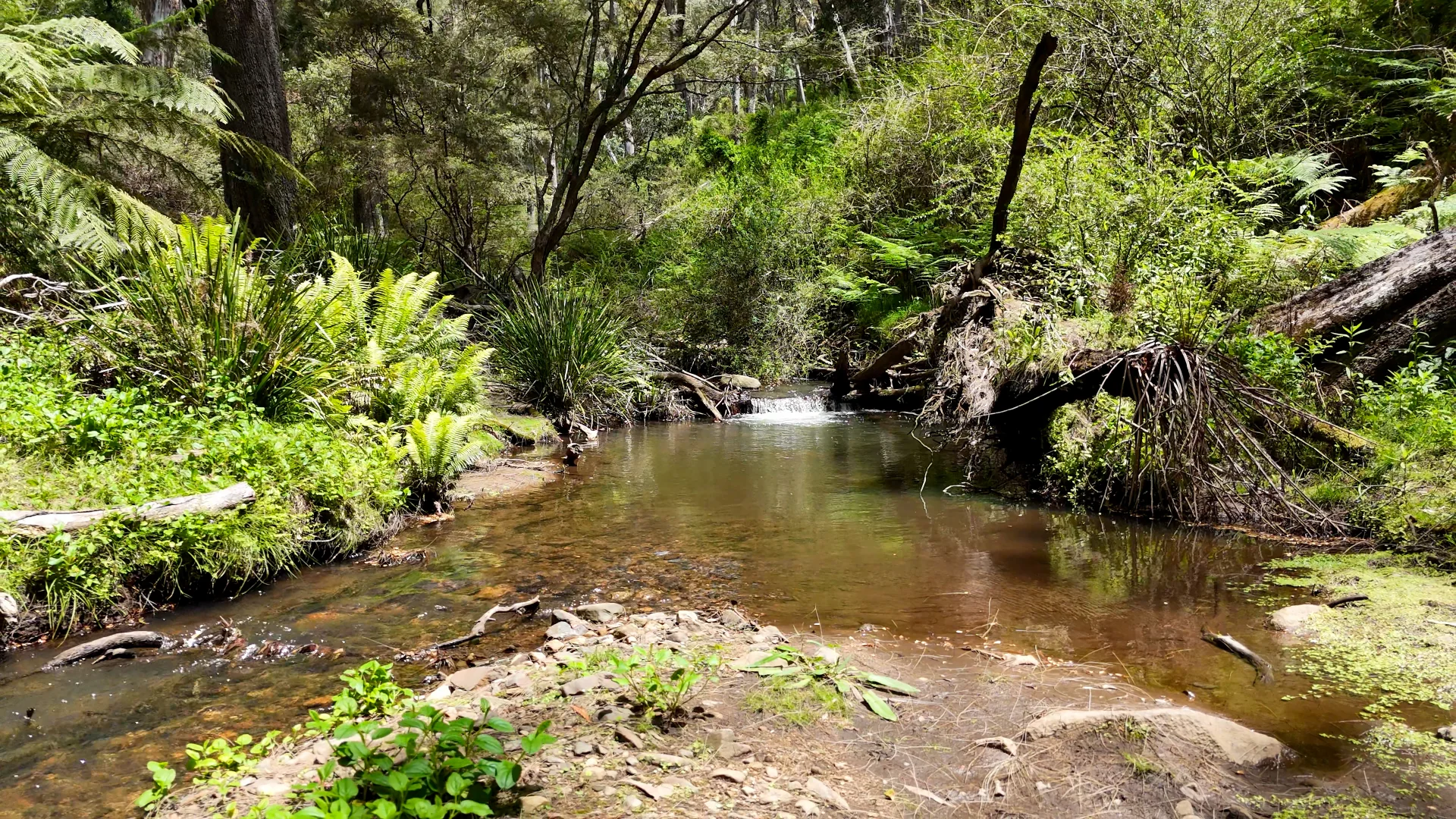 Additional image 24 of 1534 Duncans Creek Road, Duncans Creek NSW 2340