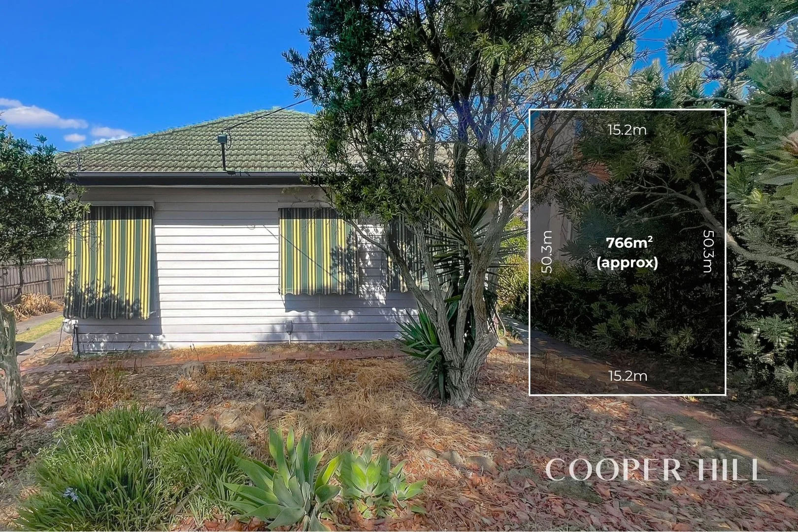 51 Birdwood Street, Box Hill South VIC 3128