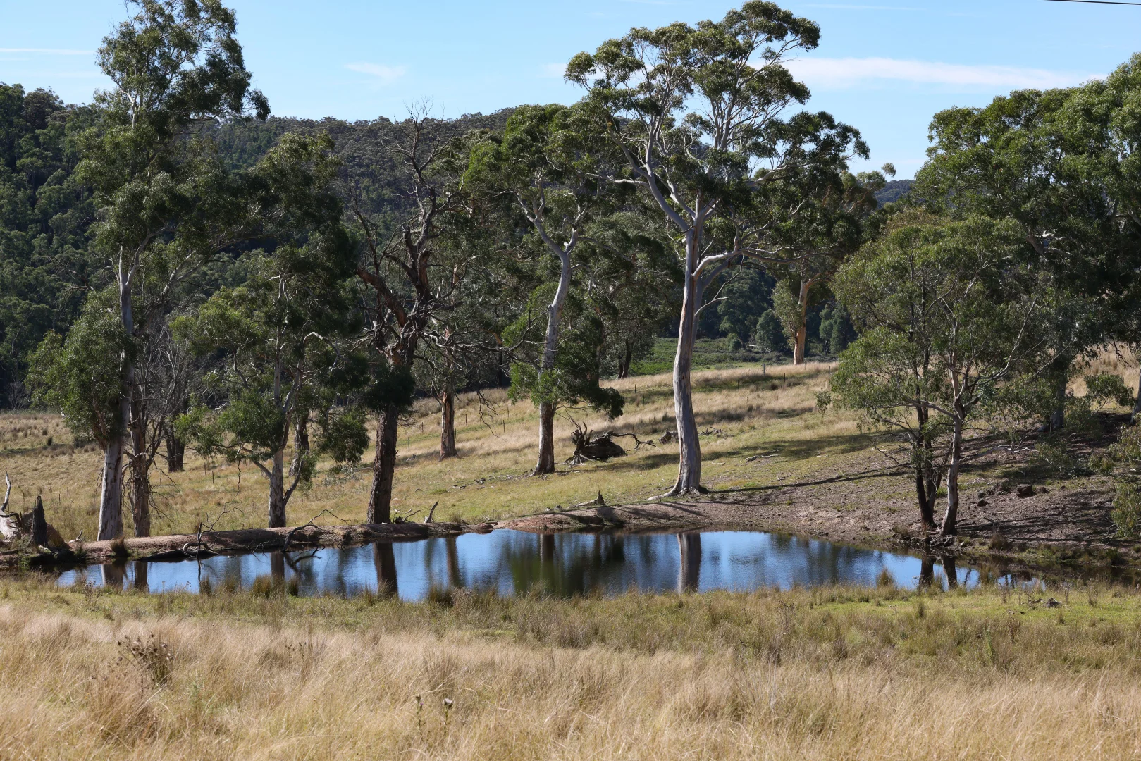 Additional image 26 of 710 Inverary Road, Paddys River NSW 2577