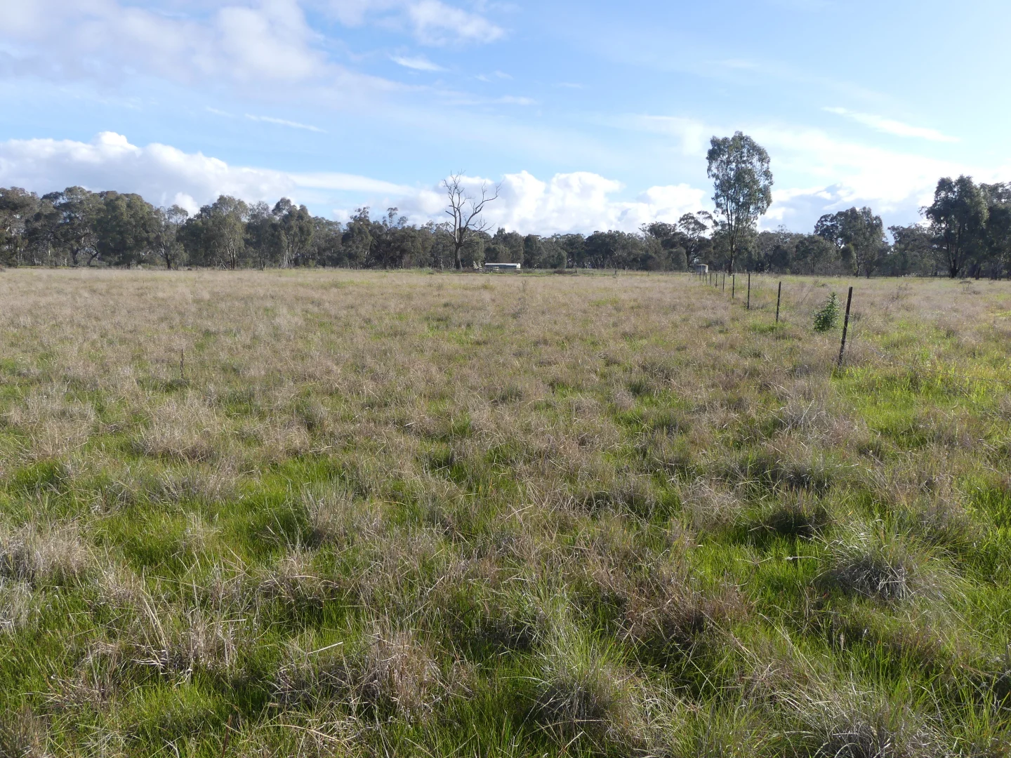 Additional image 5 of Walshs Bridge South Road, Waaia VIC 3637