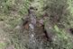 Additional image 6 of Maudland, Rhos, Carmarthenshire SA33
