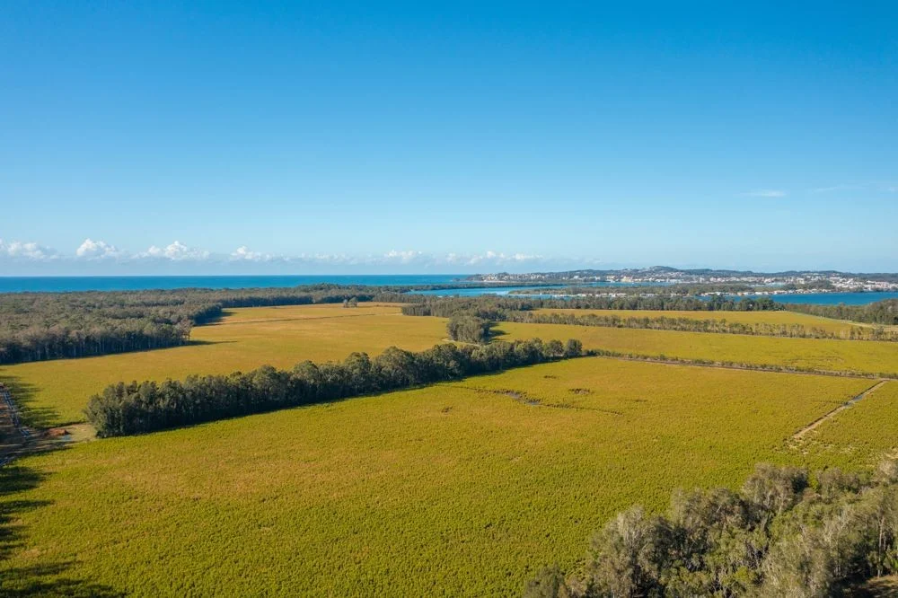 Additional image 8 of 77 SHORELINE DRIVE, North Shore NSW 2444