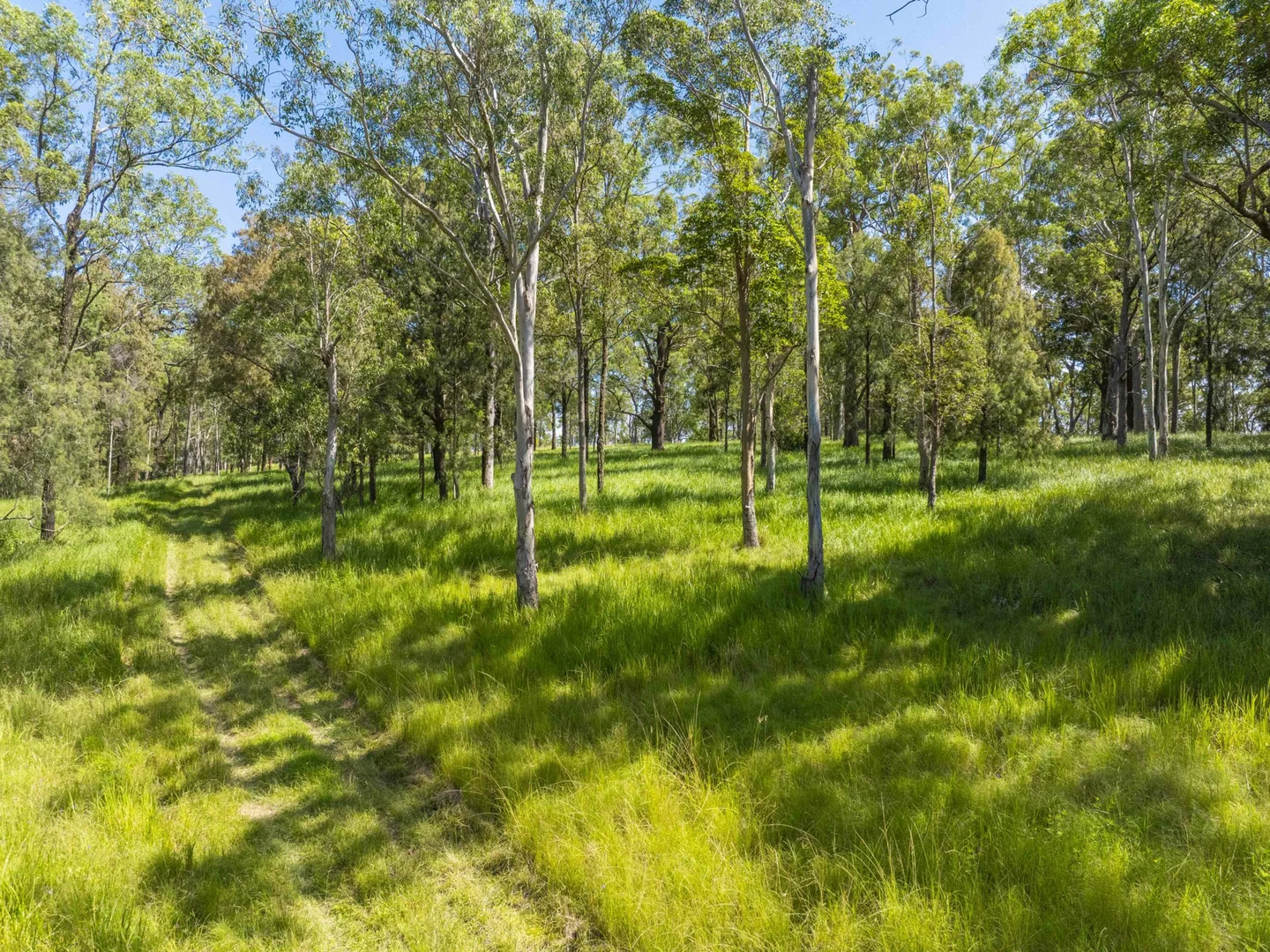 Additional image 25 of 138 Bice Road, Leycester NSW 2480