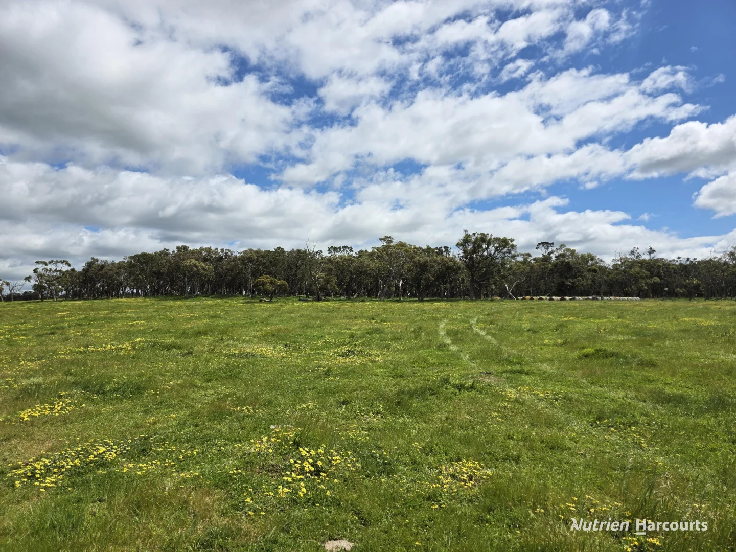 Additional image 7 of 1867 Chester Pass Road, Napier WA 6330