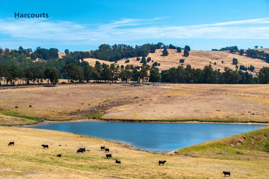 Additional image 2 of Lot 72 Beelerup Road, Beelerup WA 6239