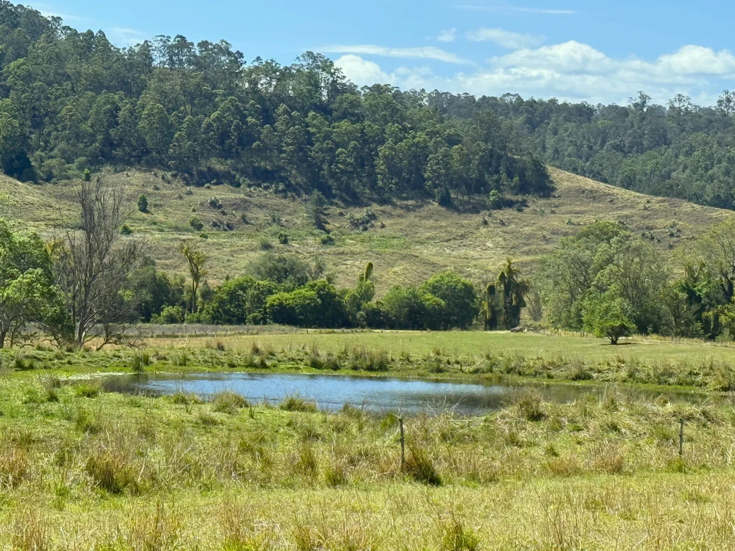 Additional image 25 of 1050 Afterlee Rd, Eden Creek NSW 2474