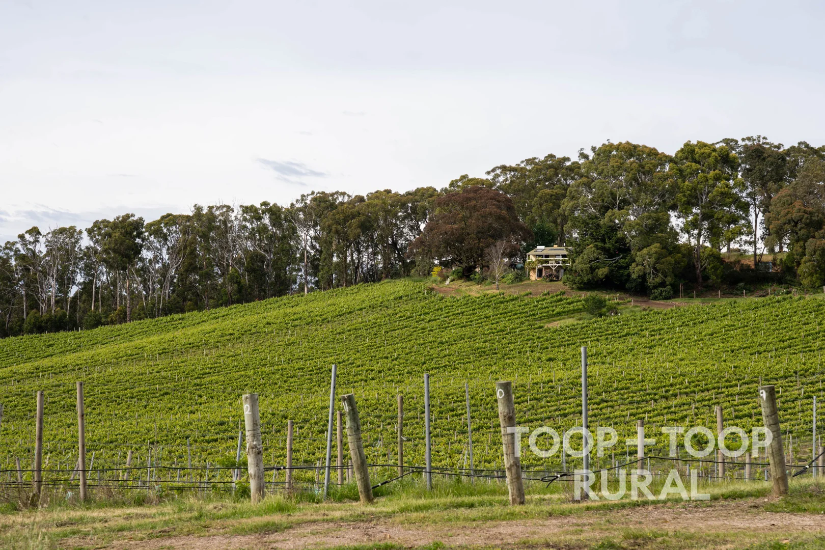 Additional image 20 of 407 Croft Road, Lenswood SA 5240