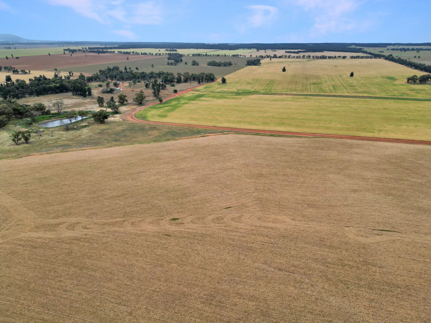 Additional image 4 of 'Werona' 904 North Yalgogrin Road, Tallimba NSW 2669