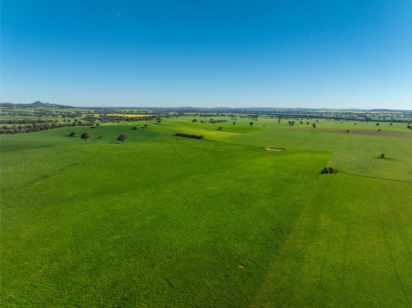 Additional image 5 of 272 Bulloc Hill Road, Mangoplah NSW 2652