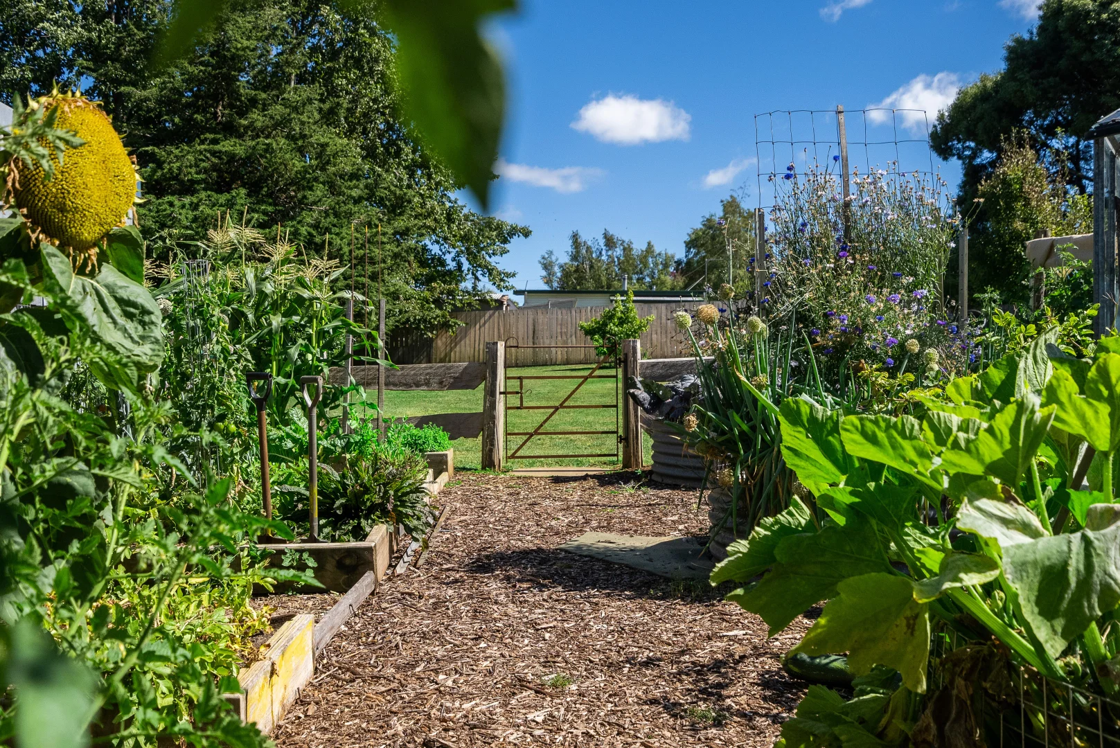 Additional image 38 of 33 West Barrack Street, Deloraine TAS 7304