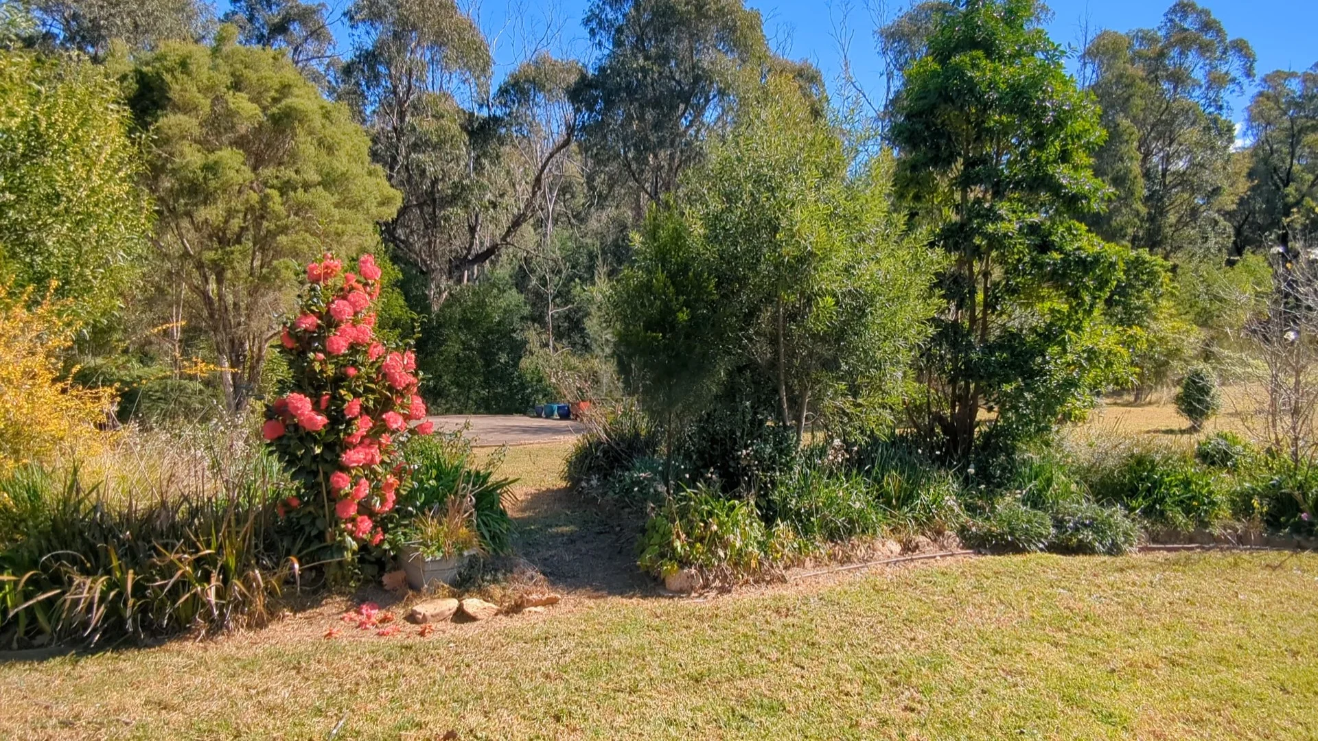 Additional image 33 of 115 Gulph Creek Road, Nerrigundah NSW 2545