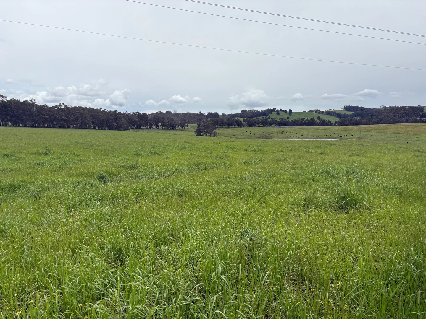 Additional image 17 of Lot 72 Beelerup Road, Beelerup WA 6239