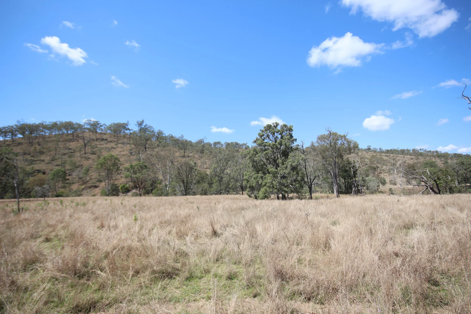 Additional image 16 of 789 Coppin Road, Mungungo QLD 4630
