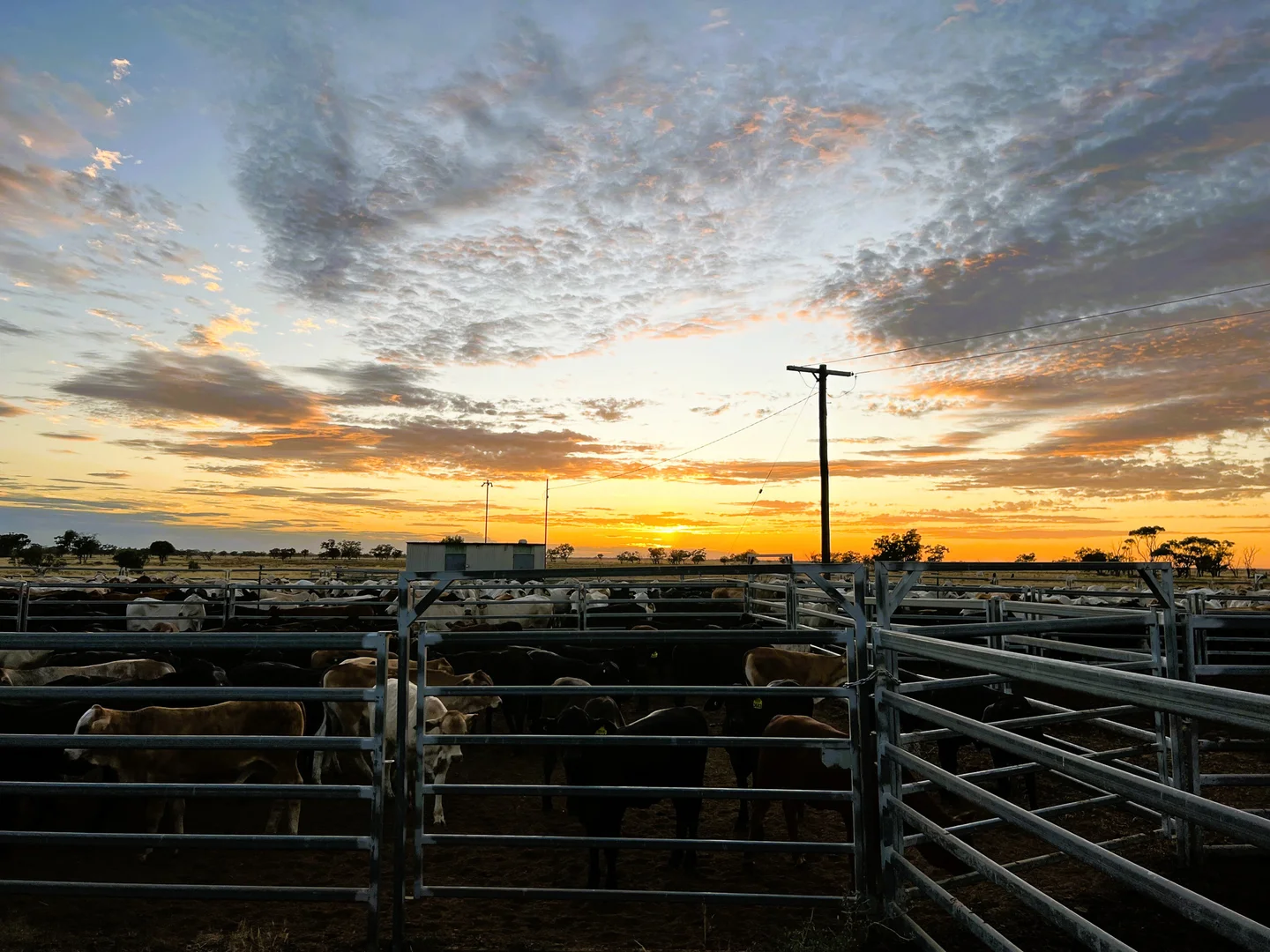 Additional image 13 of 318 Barringun Road, Barringun QLD 4490