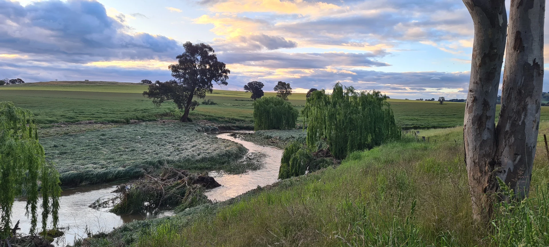 Additional image 8 of Lots 1-14 Willowvale Road, Cowra NSW 2794
