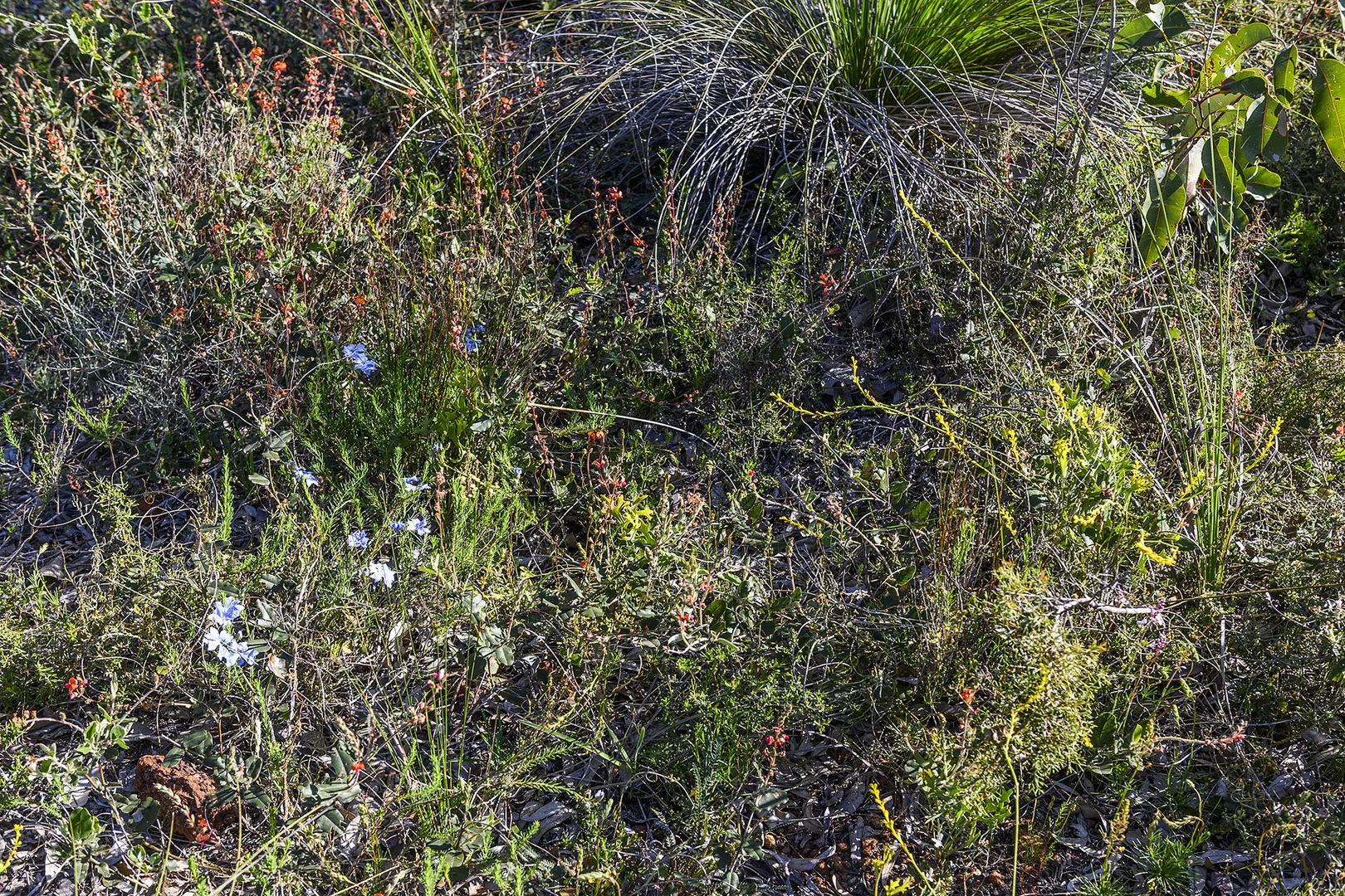 Additional image 49 of Guernsey Rise, Lower Chittering WA 6084