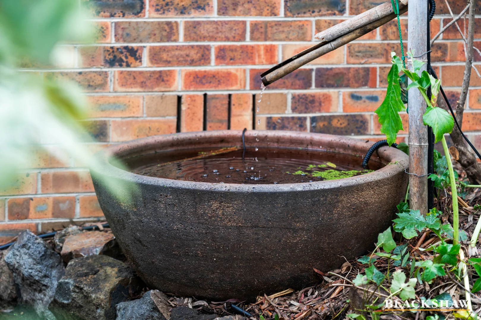 Additional image 21 of 7 Sampson Close, Melba ACT 2615