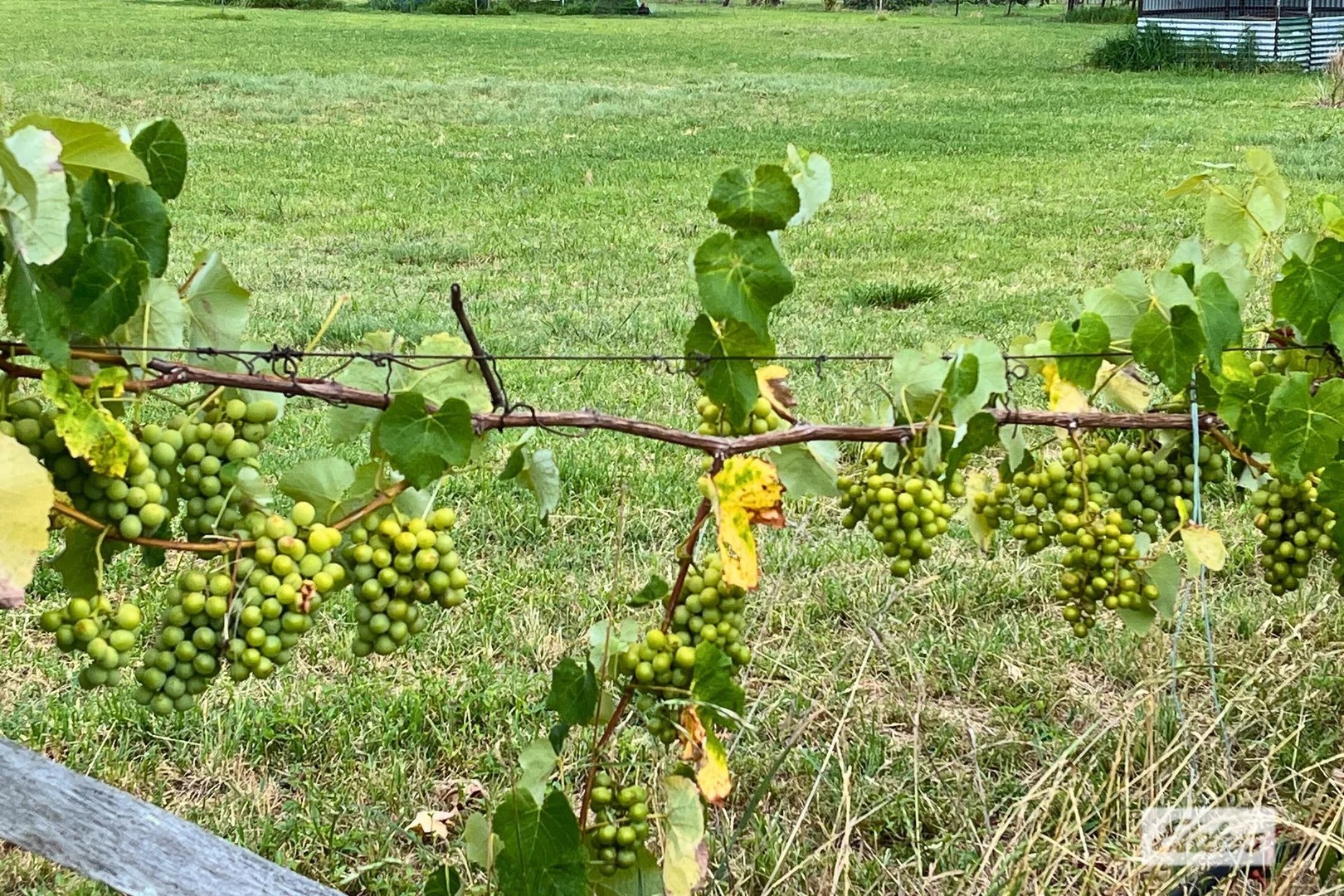 Additional image 19 of Kyoomba QLD 4380