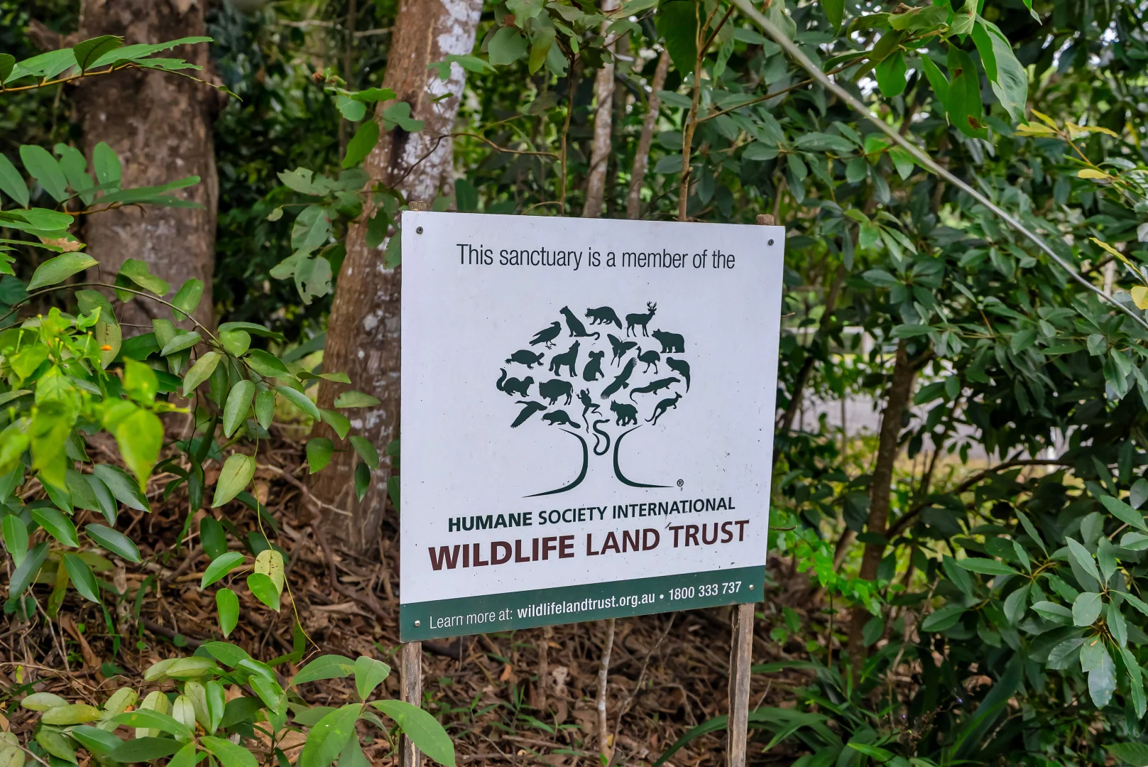 Additional image 9 of 53 Edward Elgar Close, Speewah QLD 4881