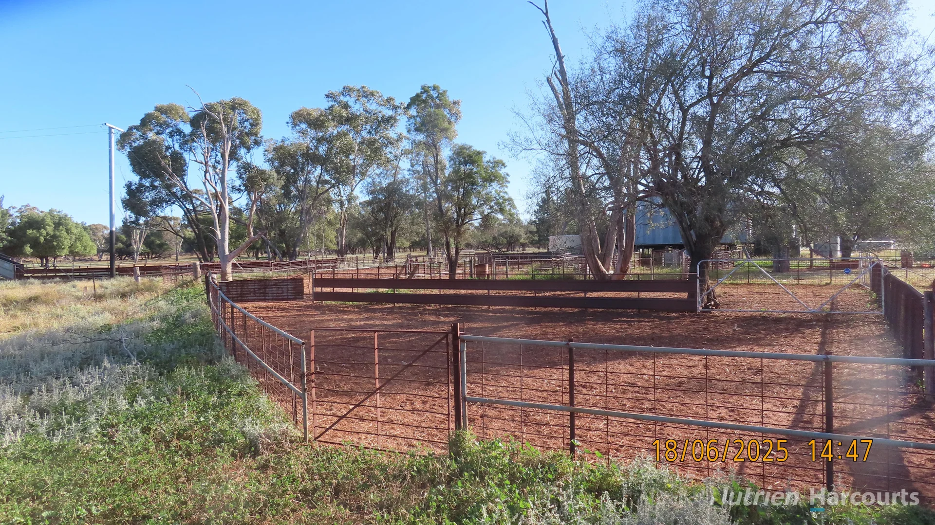 Additional image 27 of * Springvale, Walgett NSW 2832