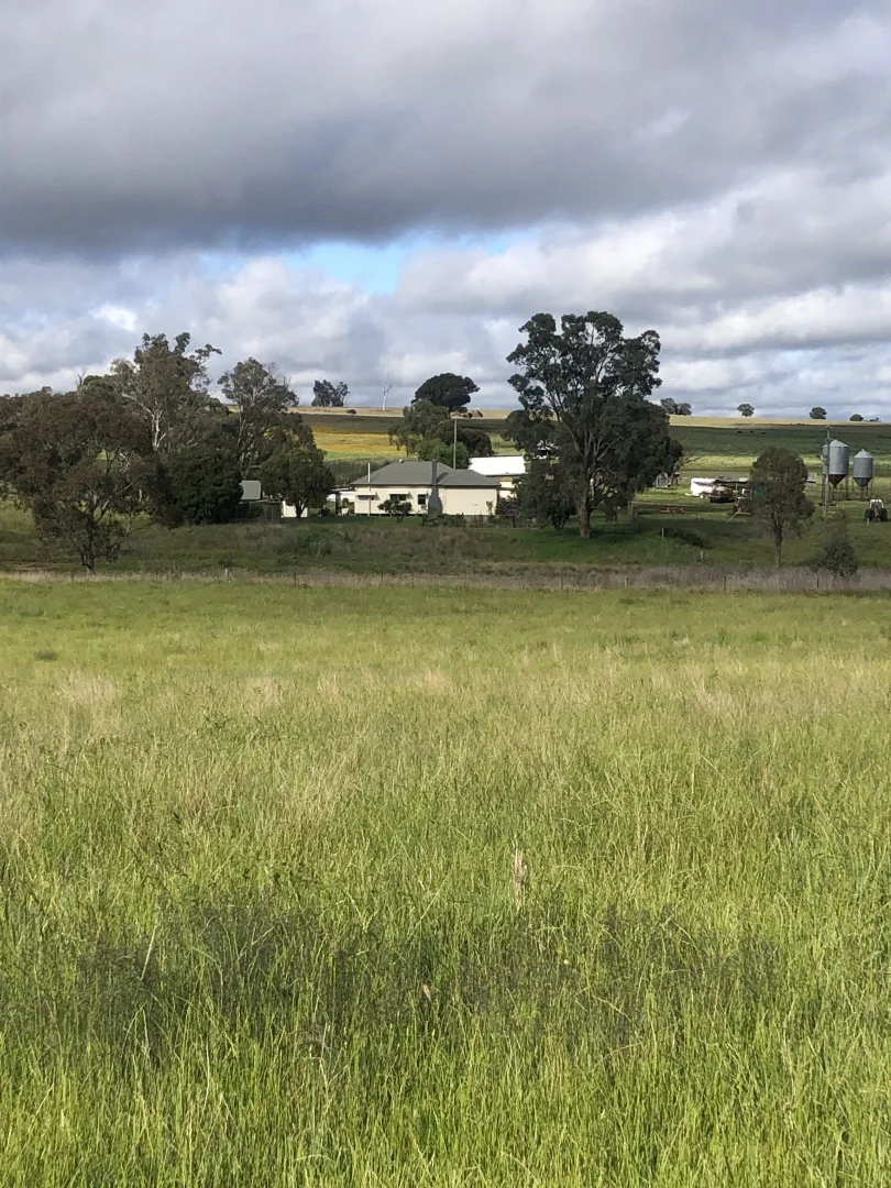 Additional image 14 of 325 Toorawandi Road, Ulamambri NSW 2357