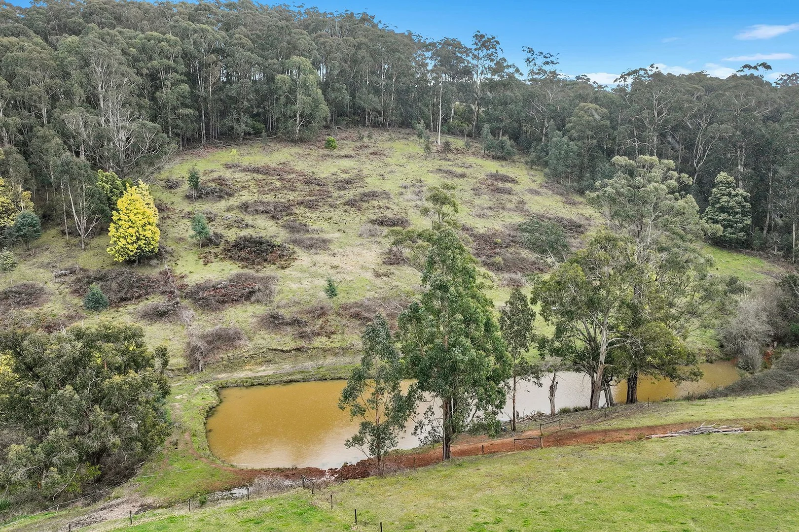 Additional image 22 of 2675 Willow Grove Road, Hill End VIC 3825