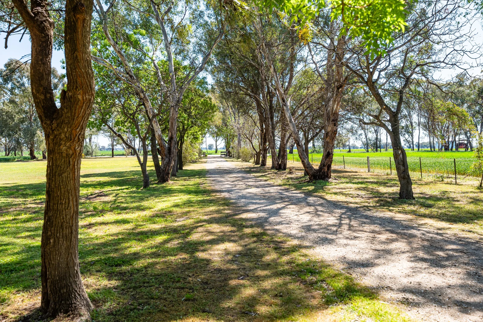 Additional image 6 of 106 Cornishtown Road, Rutherglen VIC 3685