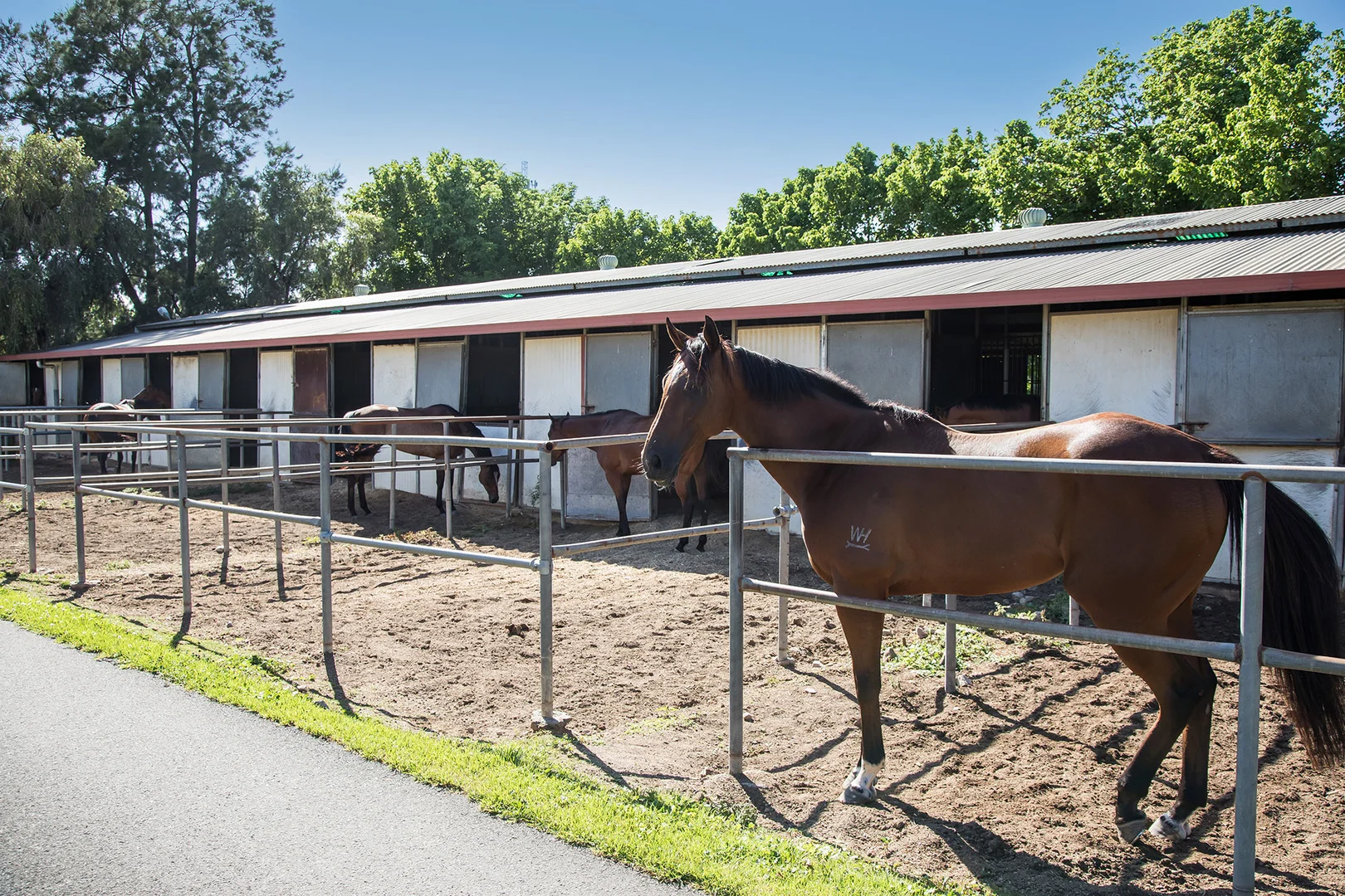 Additional image 4 of 131 Racecourse Road, Clarendon NSW 2756