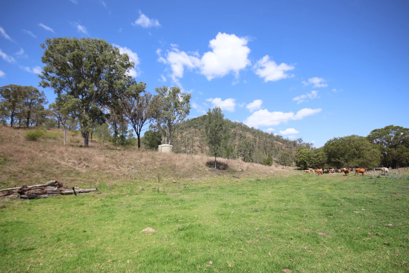Additional image 15 of 789 Coppin Road, Mungungo QLD 4630
