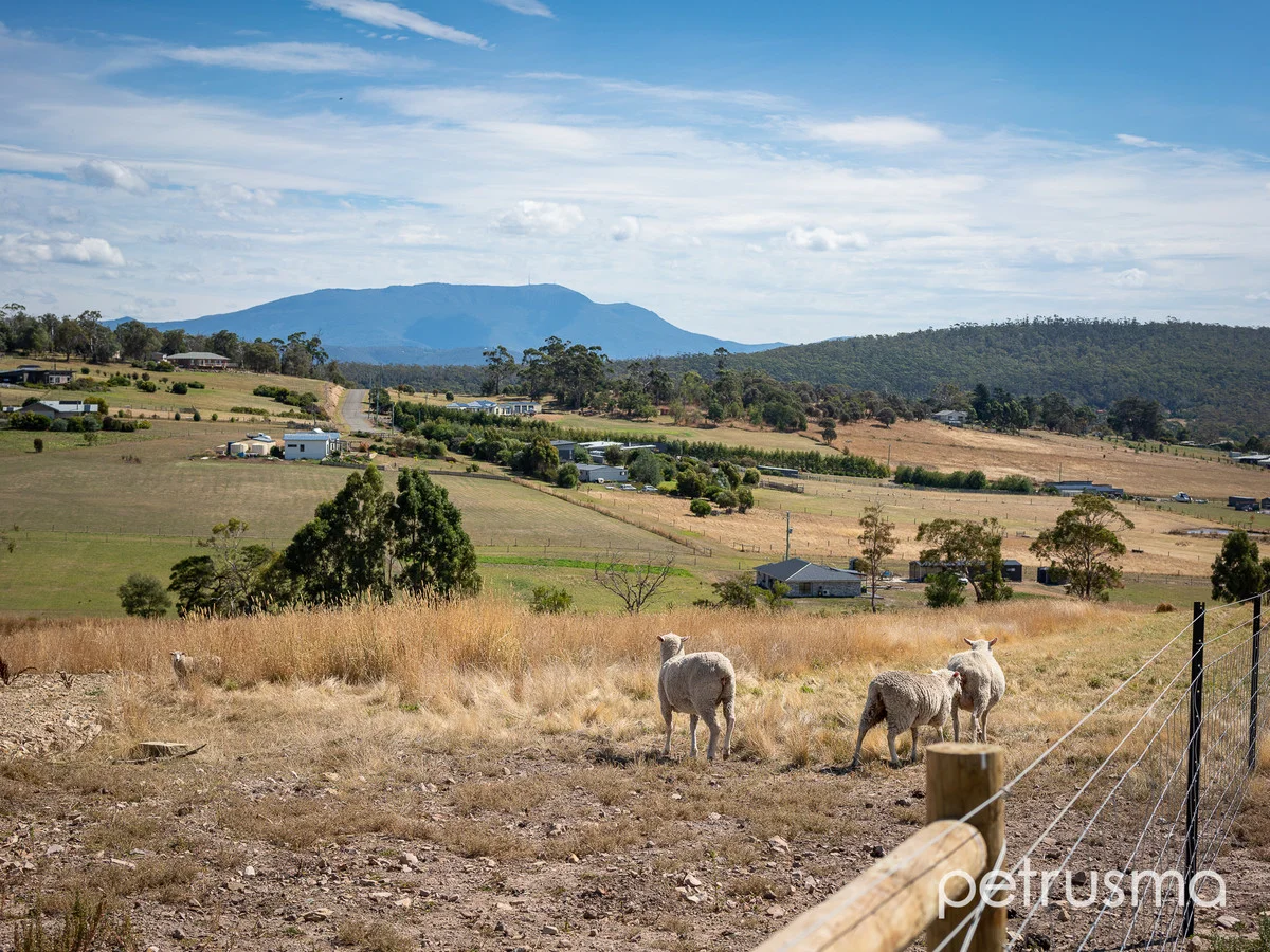 Additional image 4 of 11 Chilean Court, Sandford TAS 7020