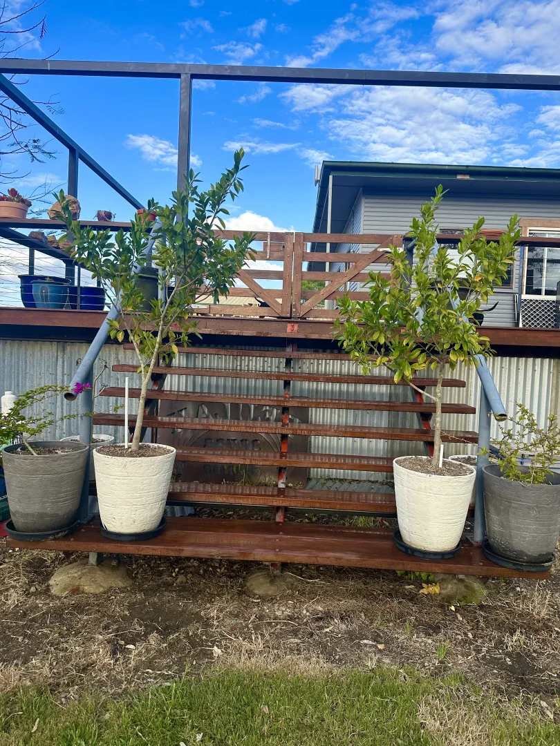 Additional image 18 of Burnett Highway, Three Moon, Monto QLD 4630